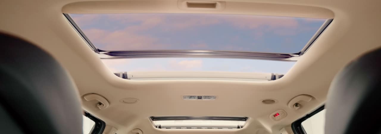 Dual Sunroof - double the fun!