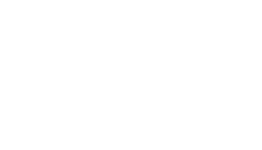 Dual Panel Electric Sunroof